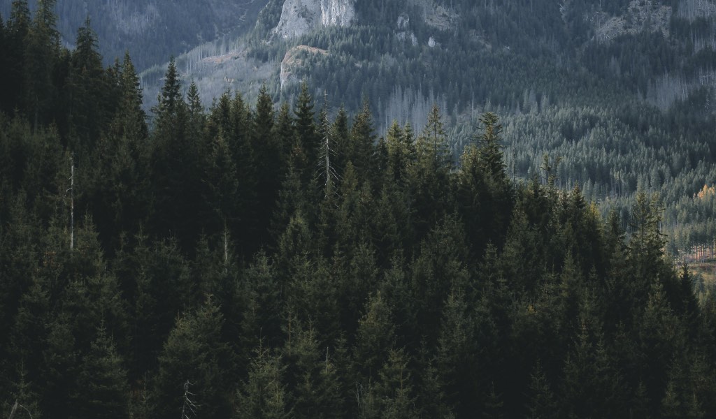 Ketamine for Holistic Wellness